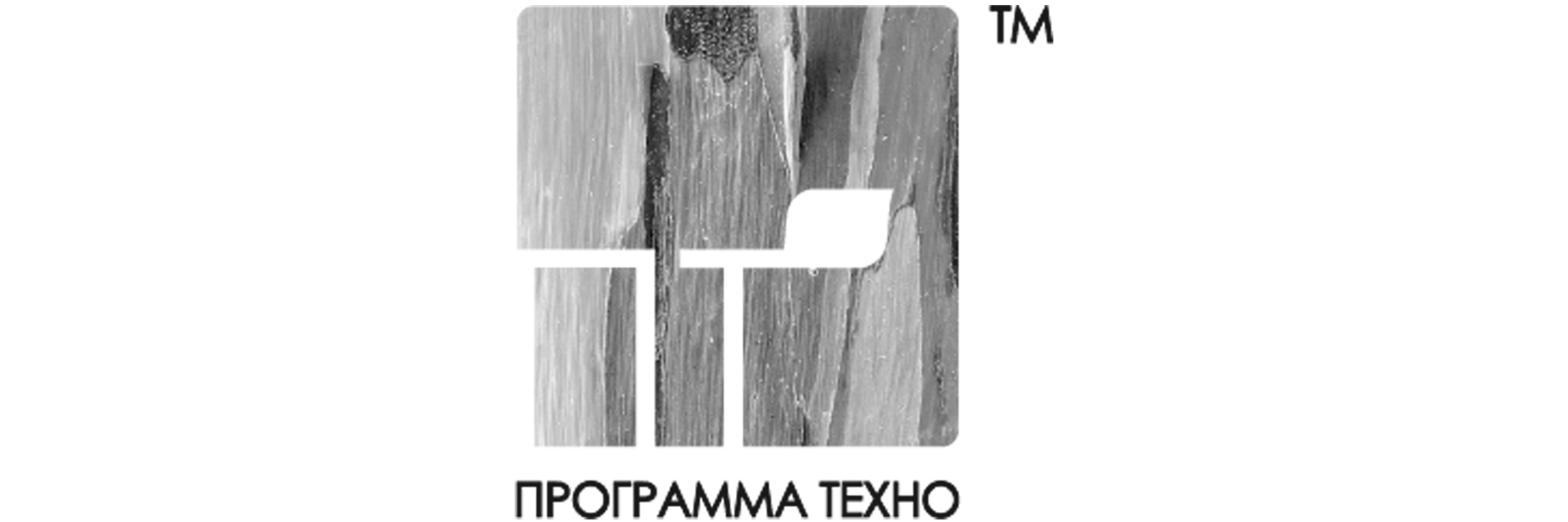 Программа Техно